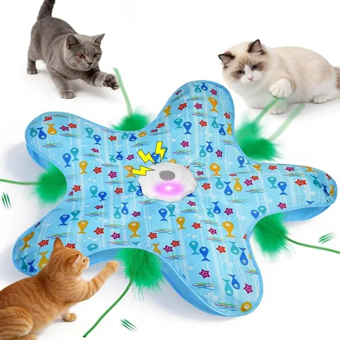Hide And Seek Cat Toy
