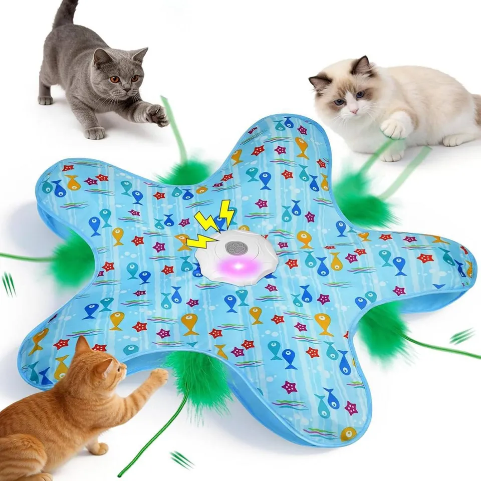 Hide And Seek Cat Toy